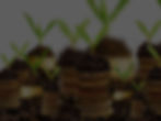 Sustainable-Business-model-for-growth_edited.jpg