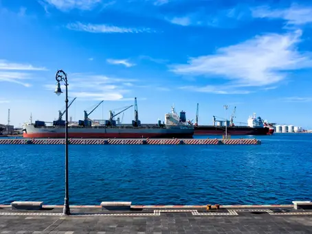 hermosa vista que muestra qué hacer en el puerto de Veracruz