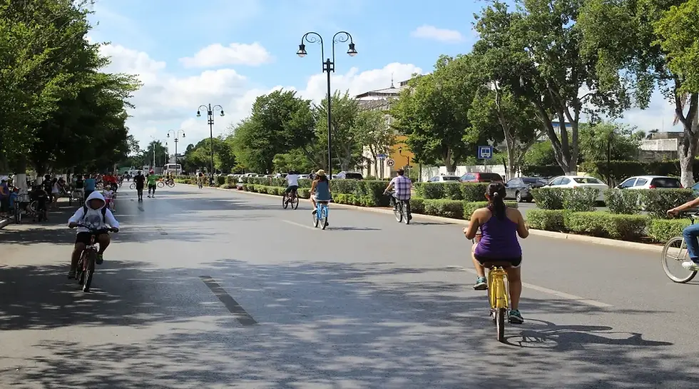 Merida weather on a sunny day with people riding bicycles along a tree-lined avenue