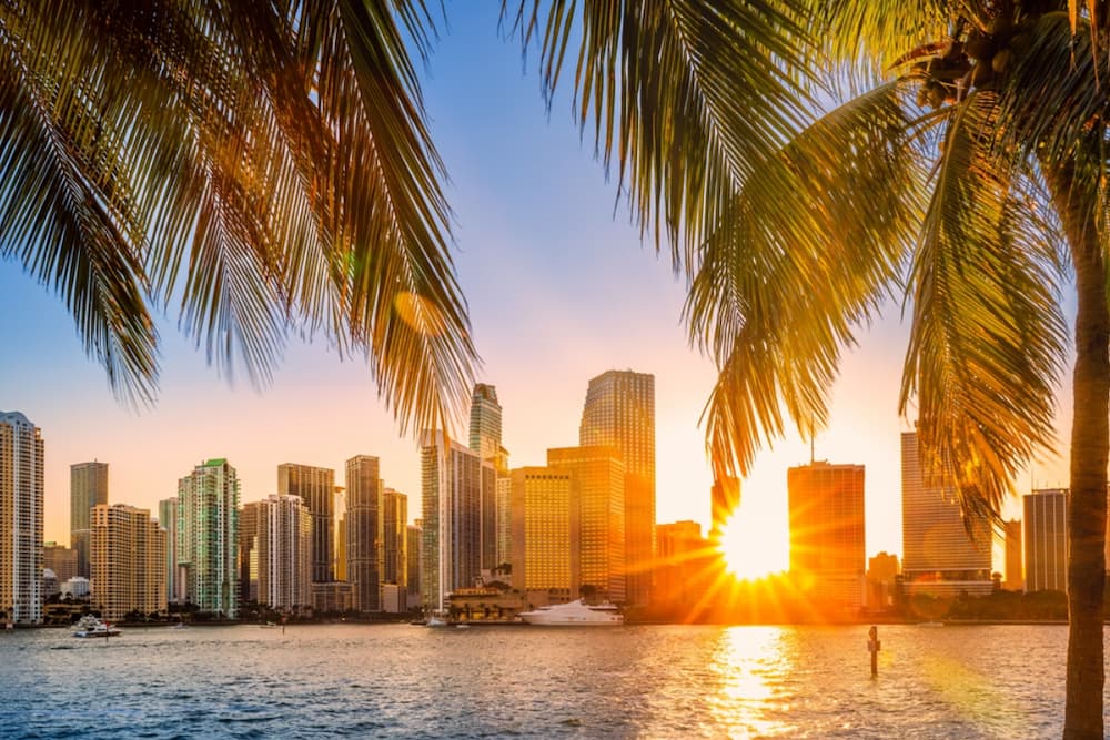 vista panorámica de los rascacielos de Miami al atardecer, entre palmeras.