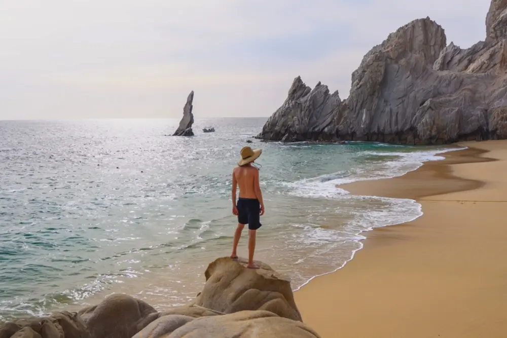 Avistamiento de ballenas en Los Cabos