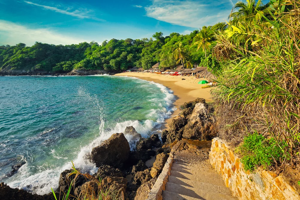 Avistamiento de tortugas marinas en Puerto Escondido, Oaxaca