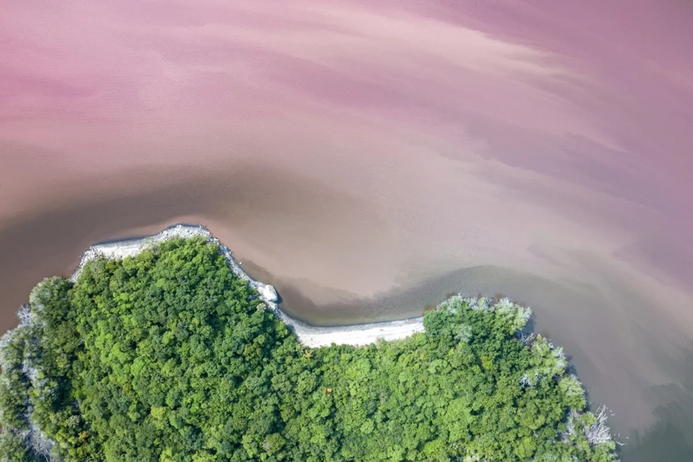 Vista aérea de la laguna de Manialtepec y el fenómeno de bioluminiscencia