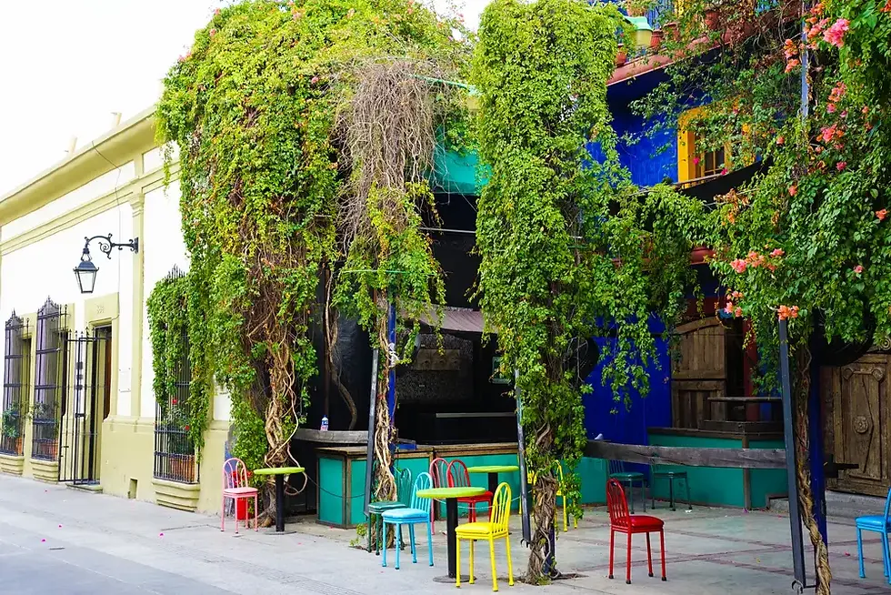 Cafetería colorida cubierta de enredaderas, con sillas de colores en la acera y un ambiente alegre y tropical.
