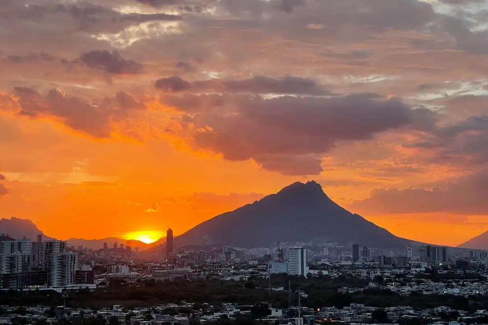vista panorámica de los rascacielos de Miami al atardecer, entre palmeras.