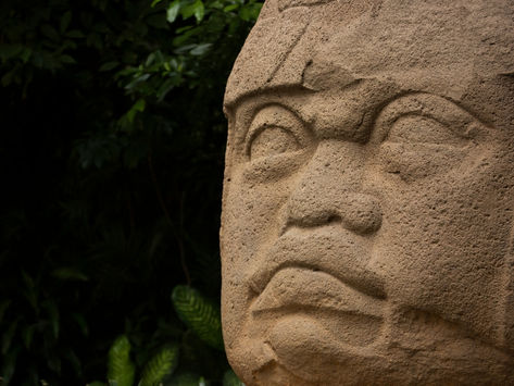 Cabeza olmeca en el Parque Museo La Venta, una de las principales atracciones que hacer en Villahermosa