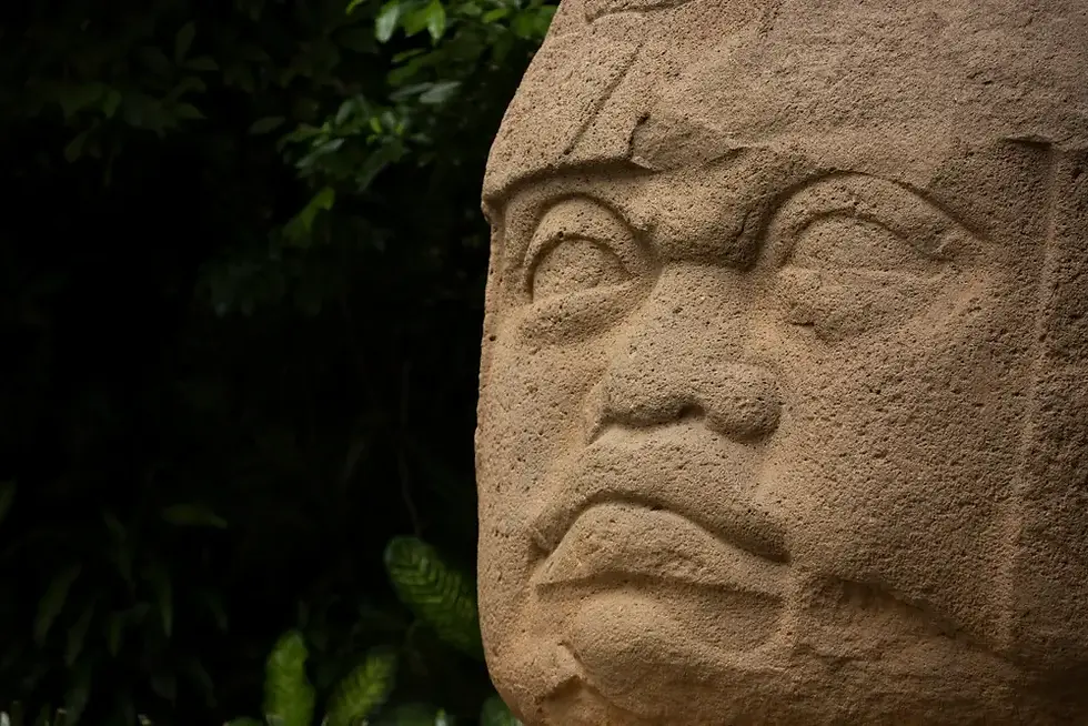 Escultura de cabeza olmeca rodeada de naturaleza en Villahermosa, sitio imperdible que hacer en Villahermosa