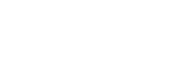 250331_logo_nerut_branco.png
