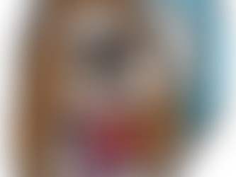 Announcing ImmunizeVA's Coloring Contest!