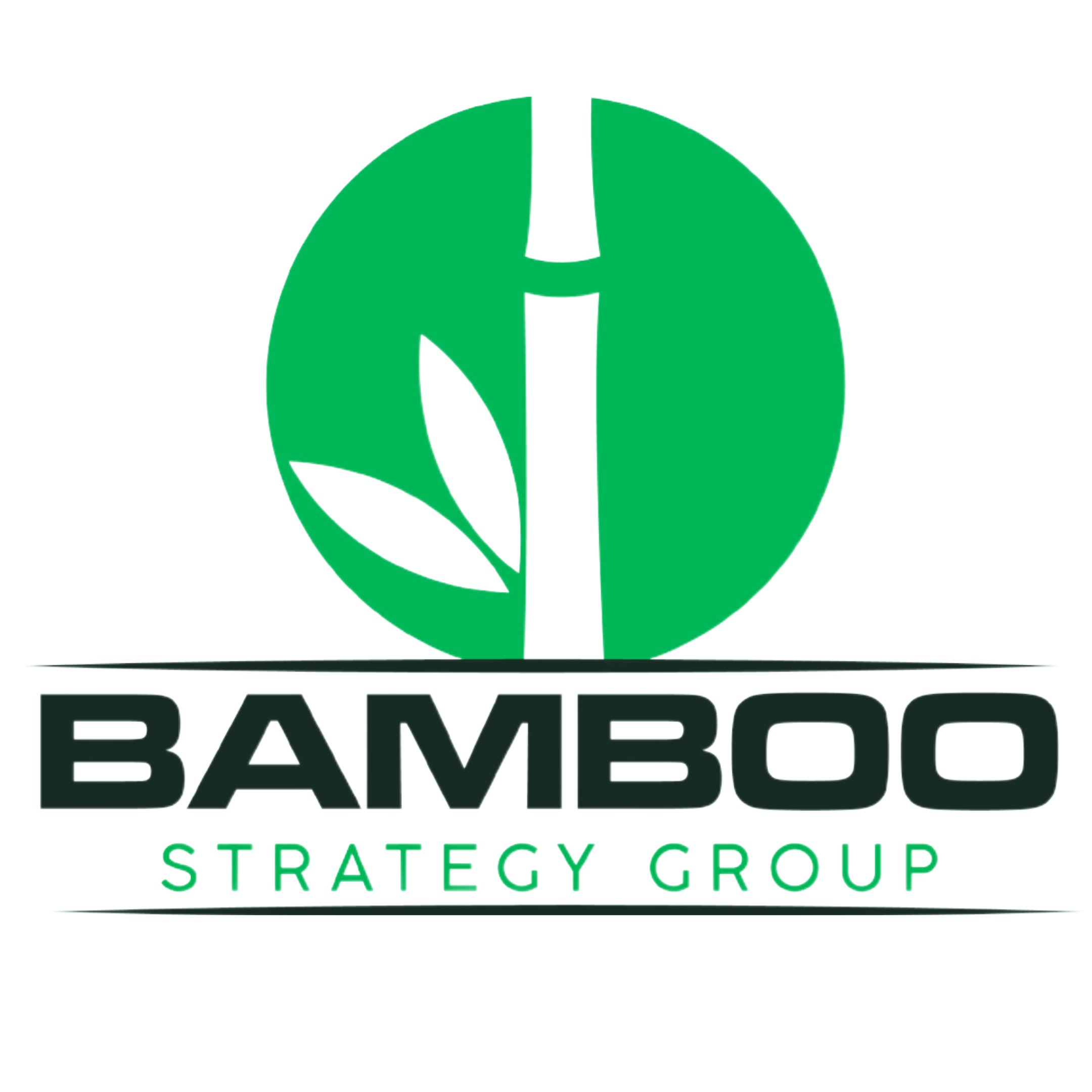Bamboo Strategy Group Logo (Transparent-For Light Background) (1).png