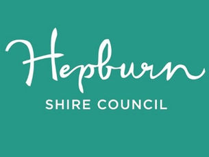 More Councillors stood down as private individual disrupts democracy