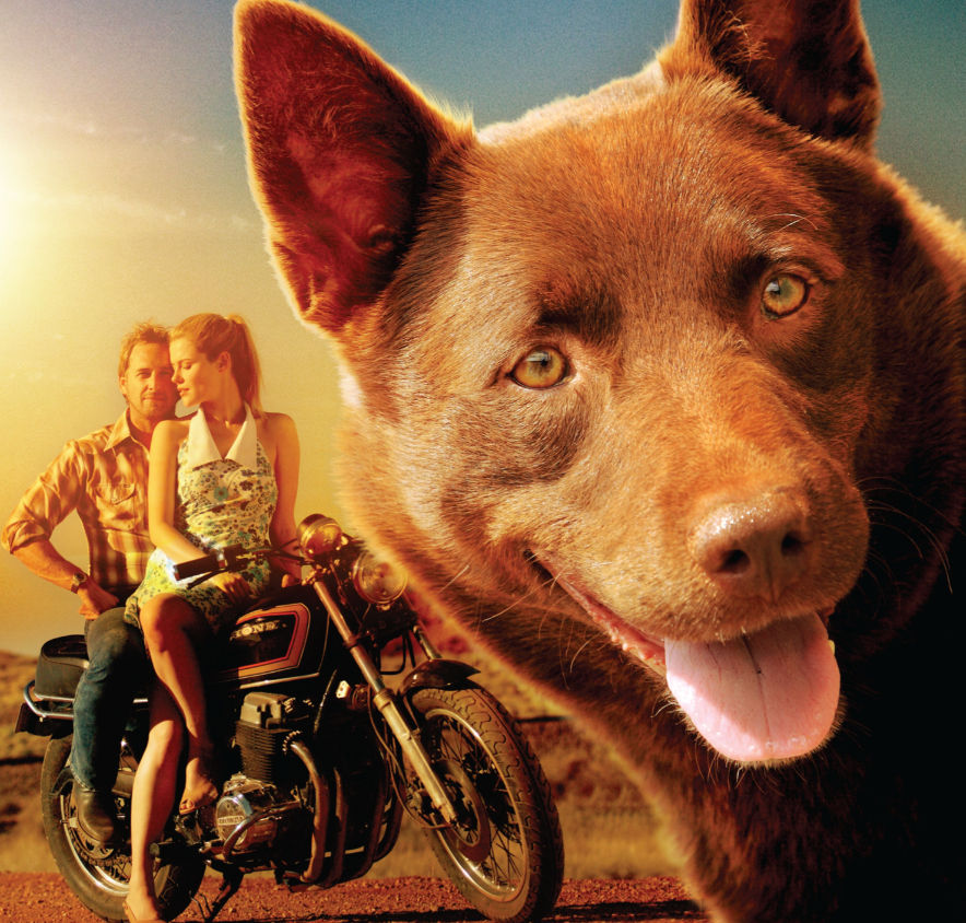 Trentham Film Society - COMING SOON "Red Dog"