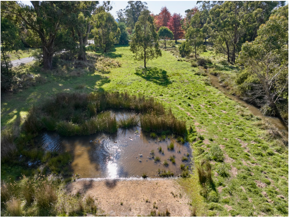Hepburn Shire Council Community Engagement