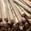 Miniatura: Postes de madera certificada