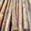 Miniatura: Postes de madera certificada