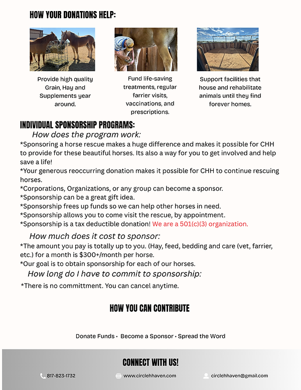 Individual Sponsorships