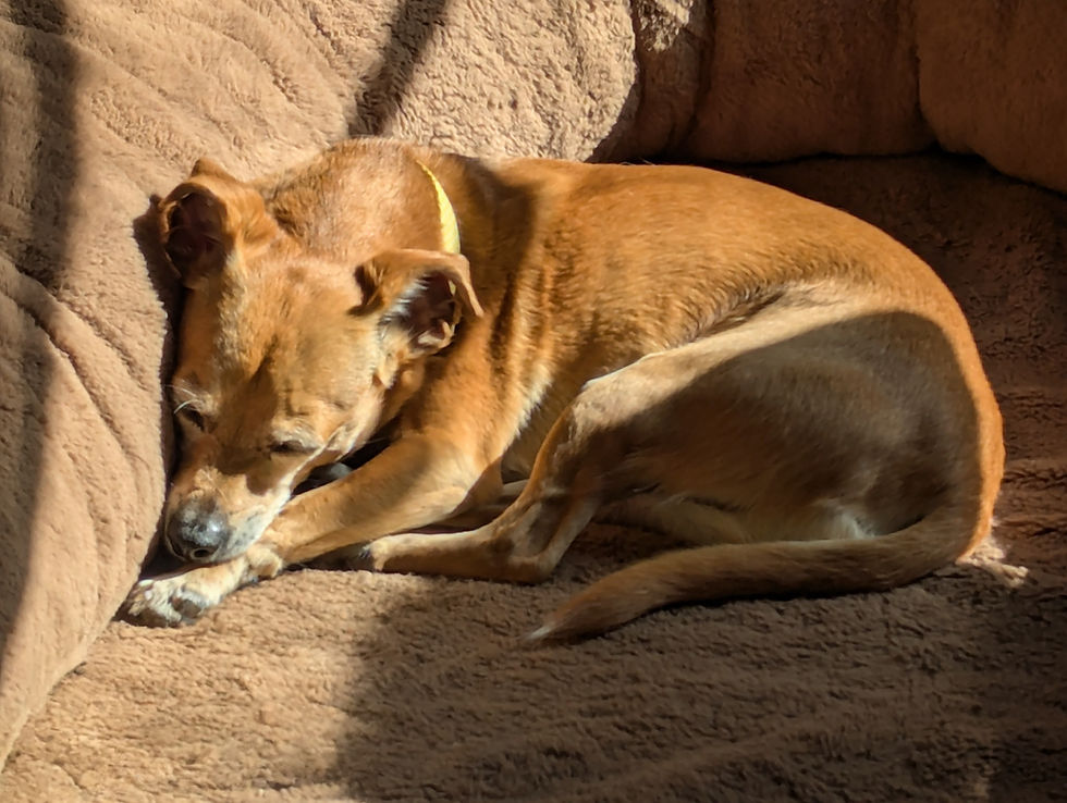 Molly, not stressed.