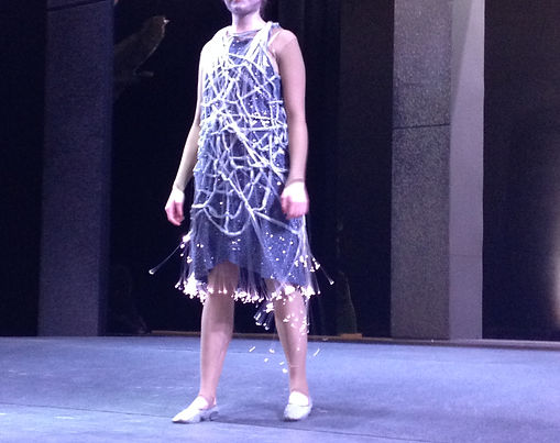 A Midsummer Night's Dream: Fiberoptic Fairies