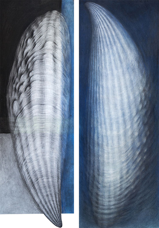 Jana Stojanović, Yin&Yang (diptych) Charcoal and pastel on paper