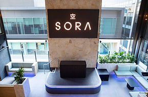 SORA.jpg