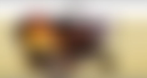 官網全新改版上線