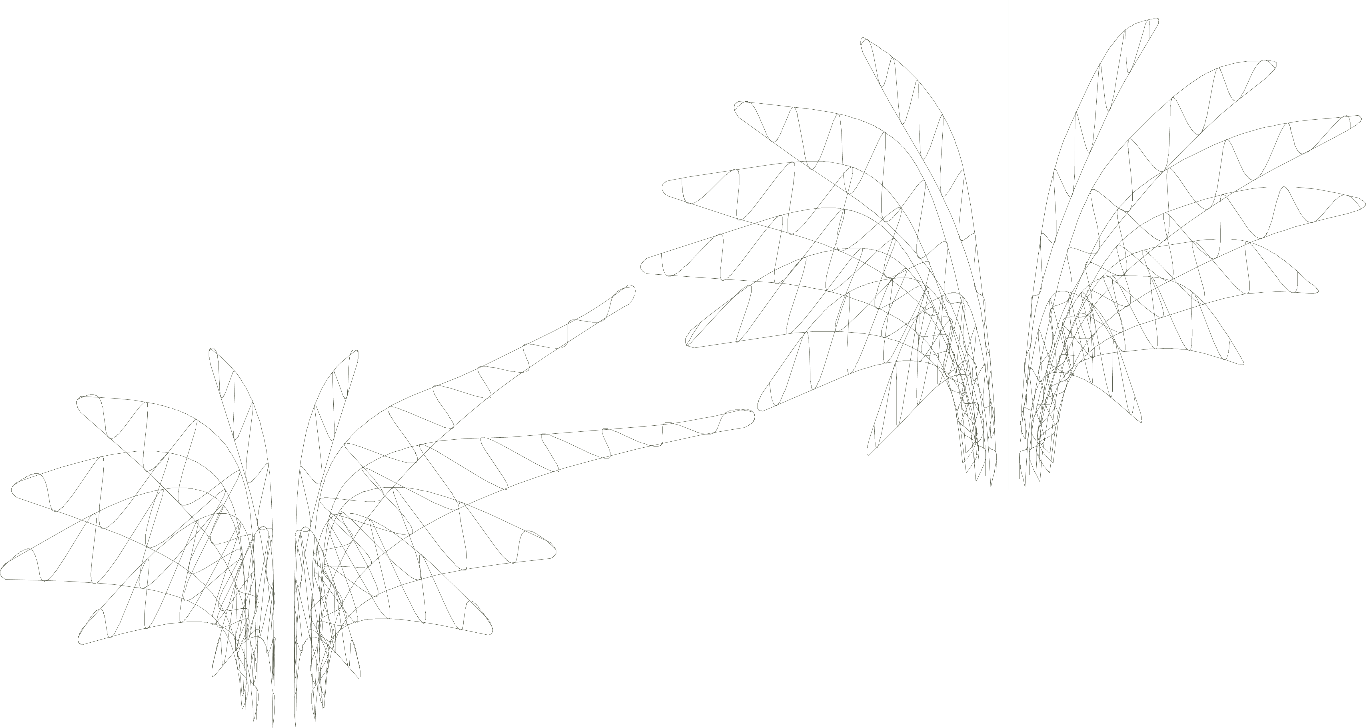 BOTSWANA-AXO - wireframe.png