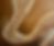 Wireframe green Services B.jpg