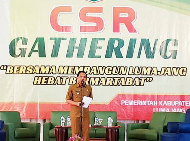 foto-15439133343_edited