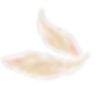 wersja3 copie (1).png