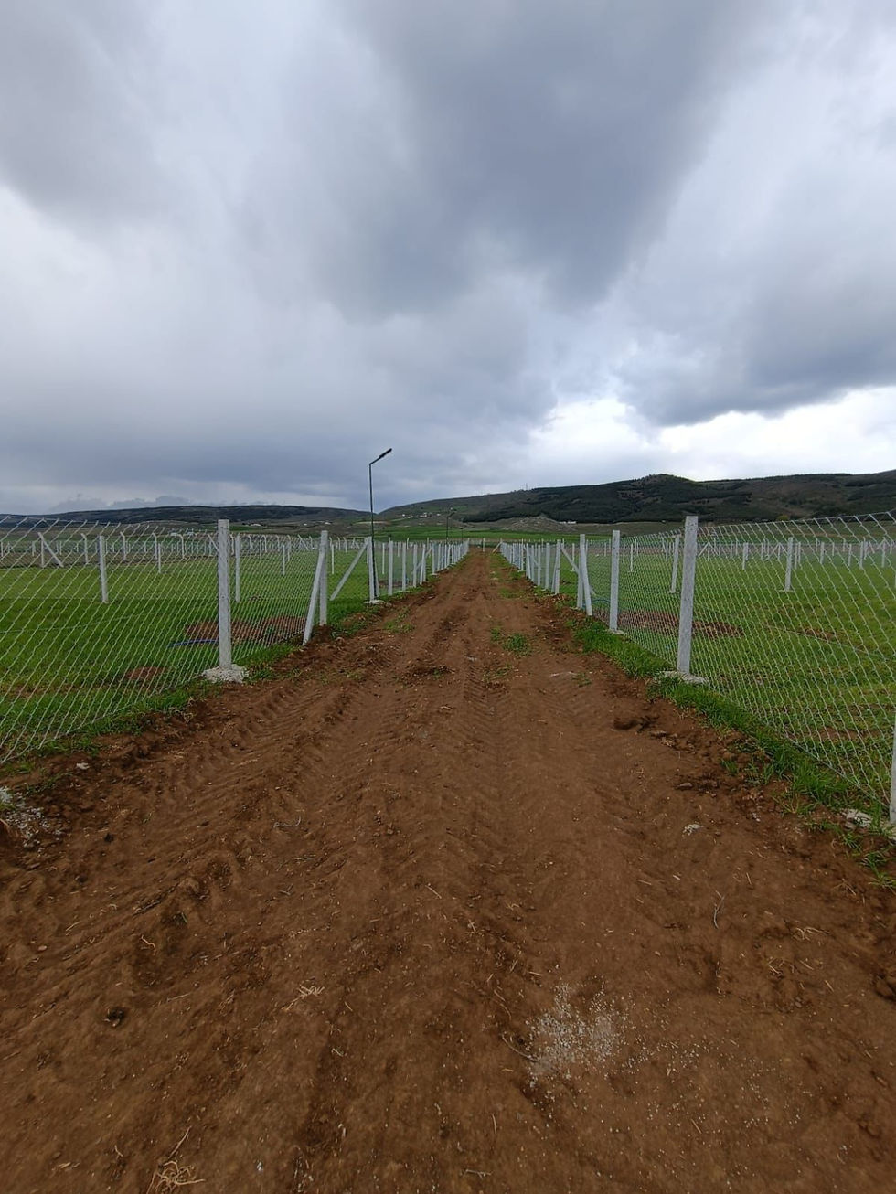 WhatsApp Image 2023-04-27 at 19.22.44