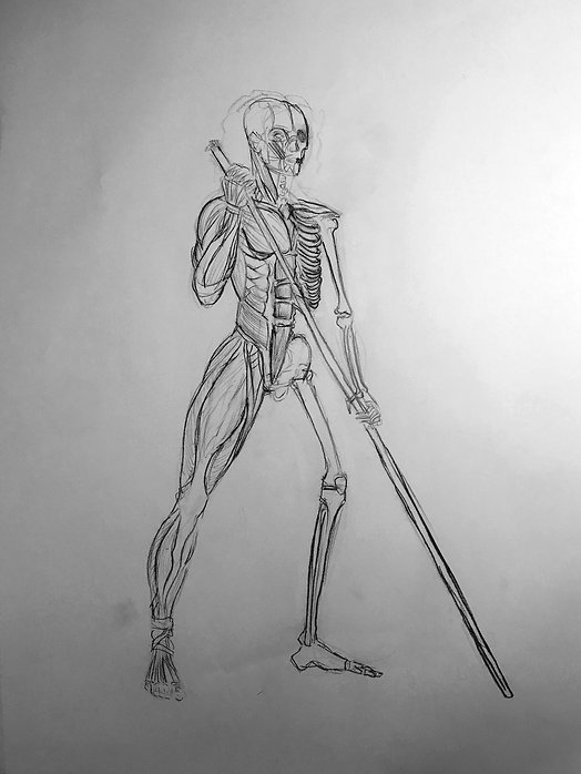 skeletonmuscleman.jpg