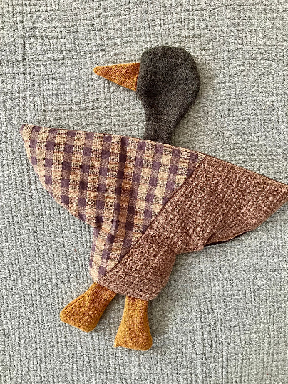 Miniaturebillede: Nulreand m. sansefødder