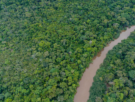 Roteiro Turístico: Amazônia