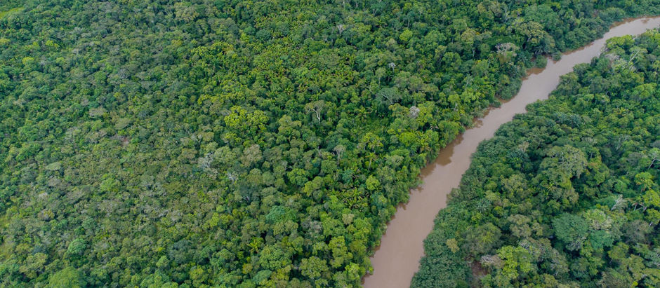 Roteiro Turístico: Amazônia