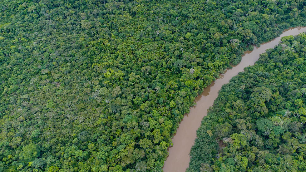 Roteiro Turístico: Amazônia