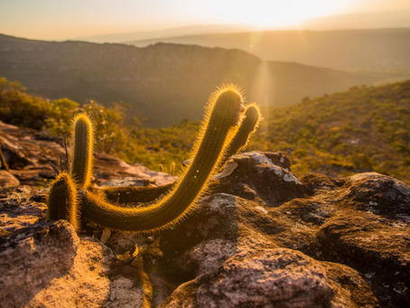 Chapada Diamantina: Um Tesouro Natural do Brasil