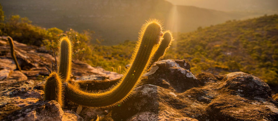 Chapada Diamantina: Um Tesouro Natural do Brasil