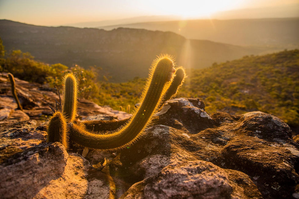 Chapada Diamantina: Um Tesouro Natural do Brasil