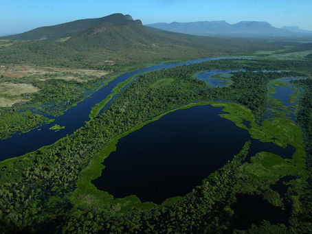 Roteiro Turístico: Pantanal