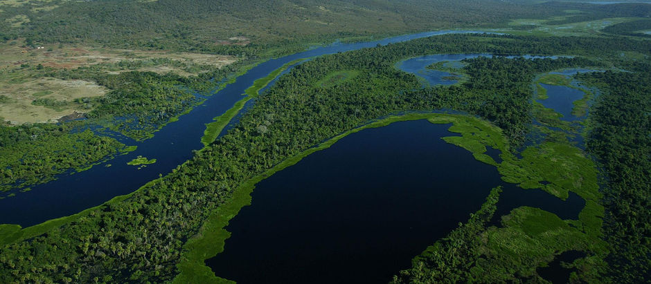 Roteiro Turístico: Pantanal
