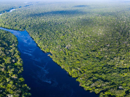 Amazônia: Uma Jornada ao Maior Tesouro Natural da Terra