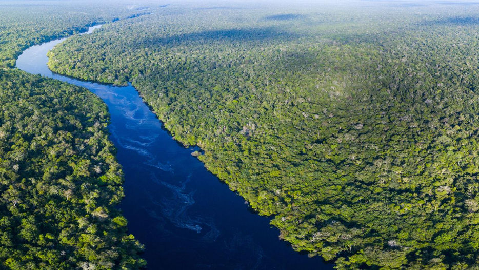 Amazônia: Uma Jornada ao Maior Tesouro Natural da Terra