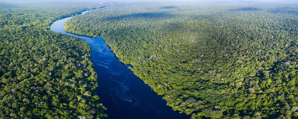 Amazônia: Uma Jornada ao Maior Tesouro Natural da Terra