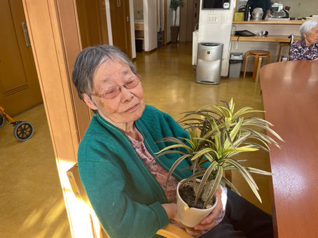 なんにもない週