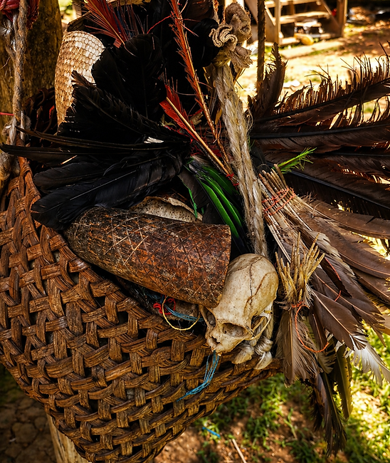 ceremonial cacao Costa Ricaica, best cacao tour Costa Rica Caribbean.png