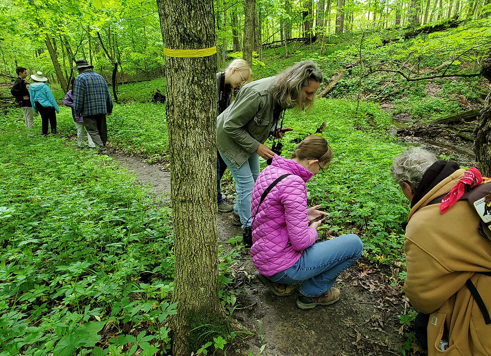 Spring at Mettler Woods