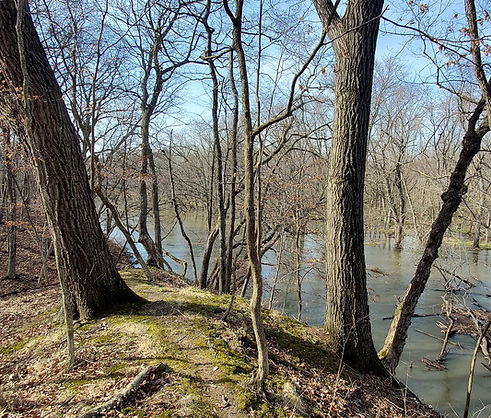 Sangamon River Bluff Trail
