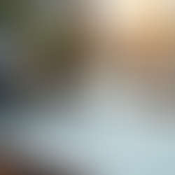 Maximizing Sales Growth in Technology Companies