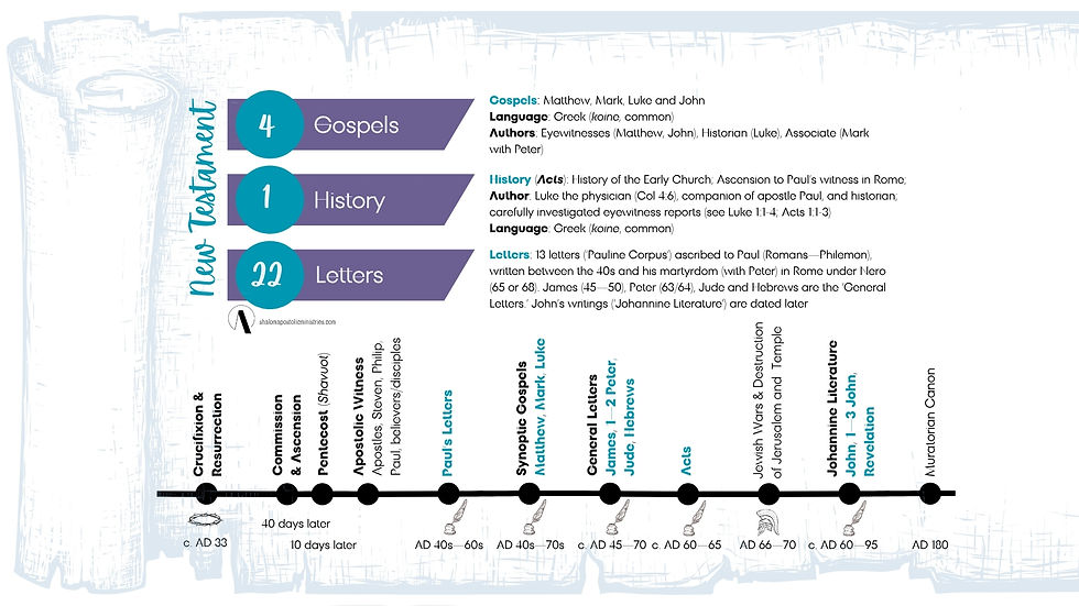 SAM NT Infographics w Timeline (L.sc.).jpg