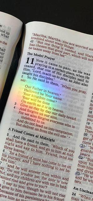 WhatsApp Image 2024-05-31 at 08.40.34.jpeg